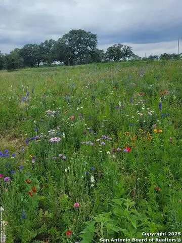 460 Woelke Rd, Seguin, TX 78155 - Image #3