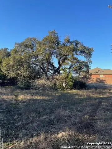 205 S Calvin Barrett, Blanco, TX 78606 - #1