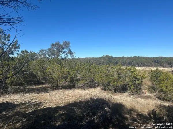 371 Serenity Pass, Spring Branch, TX 78070