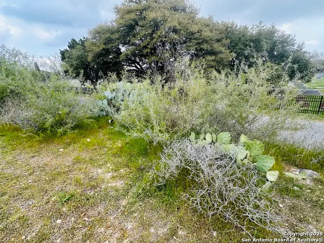 460 Peace Ave, New Braunfels, TX 78130 - Image #1