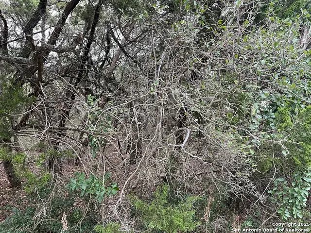 364 Lake Park, Canyon Lake, TX 78133 - #2