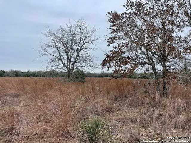00 Mule Creek Rd, Harwood, TX 78632 - Image #2