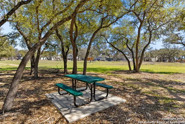 1113 Mesquite, Blanco, TX 78606 - Image #3