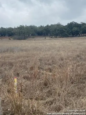 785 Ansley Home, Bulverde, TX 78163 - Image #2