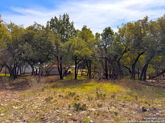 2184 Grandview Forest, Canyon Lake, TX 78133 - #3