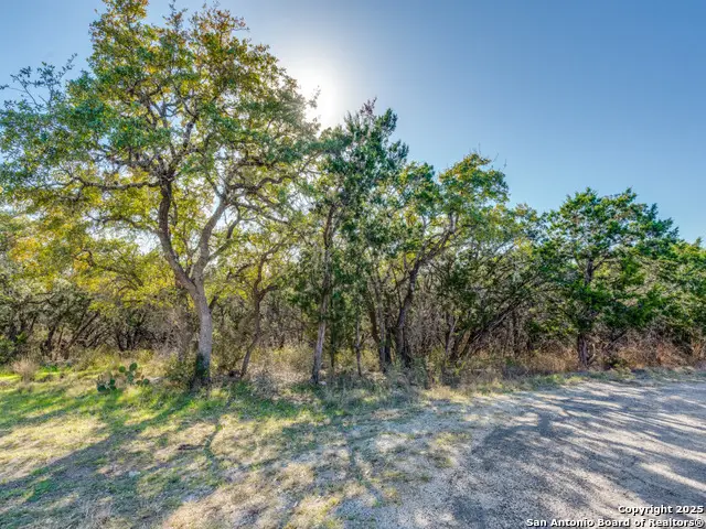 223 Lakeview, Spring Branch, TX 78070 - #2