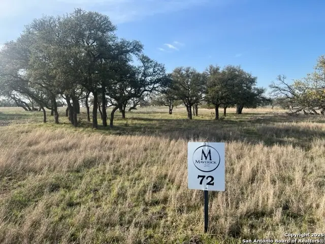 LOT 72 Fallow Dr, Harper, TX 78631 - Image #3