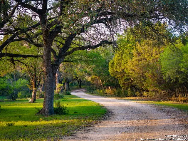 200 Elm Creek, New Braunfels, TX 78132 - #3