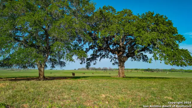 TBD County Road 404, Floresville, TX 78114 - #1