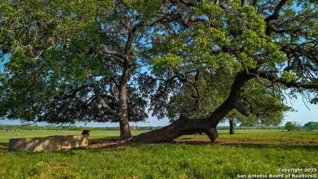 TBD County Road 404, Floresville, TX 78114 - #2