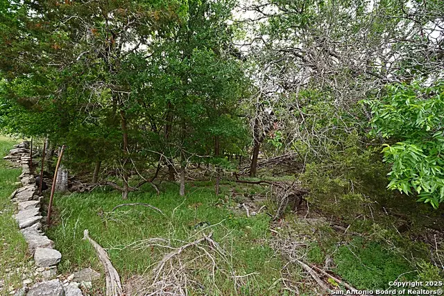 1873 Lakeshore, Canyon Lake, TX 78133 - Image #2