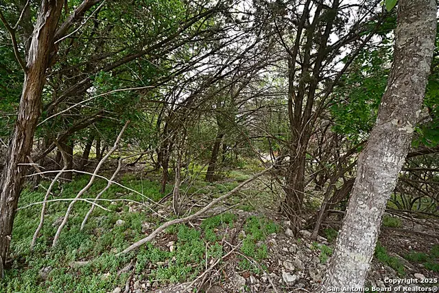 1873 Lakeshore, Canyon Lake, TX 78133 - Image #3