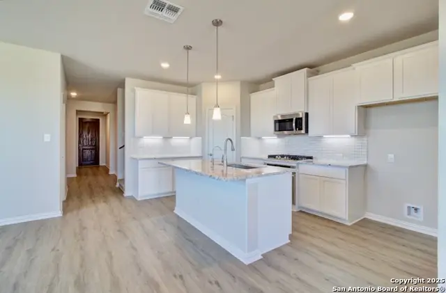 850 Saltbush Street, New Braunfels, TX 78130 - Image #3