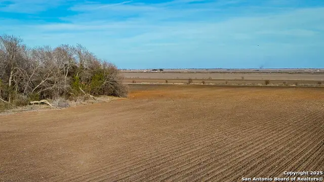 TBD (1) County Road 5702, Natalia, TX 78059 - Image #3