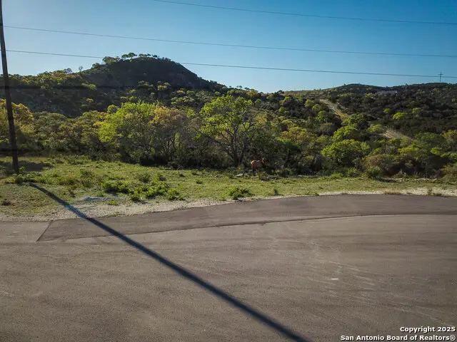 000 Blackbuck Trail, Pipe Creek, TX 78063 - Image #2