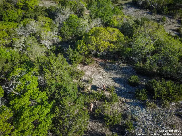000 Blackbuck Trail, Pipe Creek, TX 78063 - Image #3