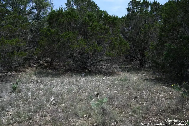 135 Agarita, Spring Branch, TX 78070 - #1