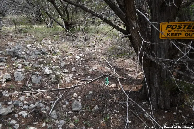 135 Agarita, Spring Branch, TX 78070 - #3