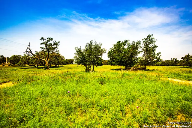 LOT 59 TBD Eagle, Bandera, TX 78003 - #2