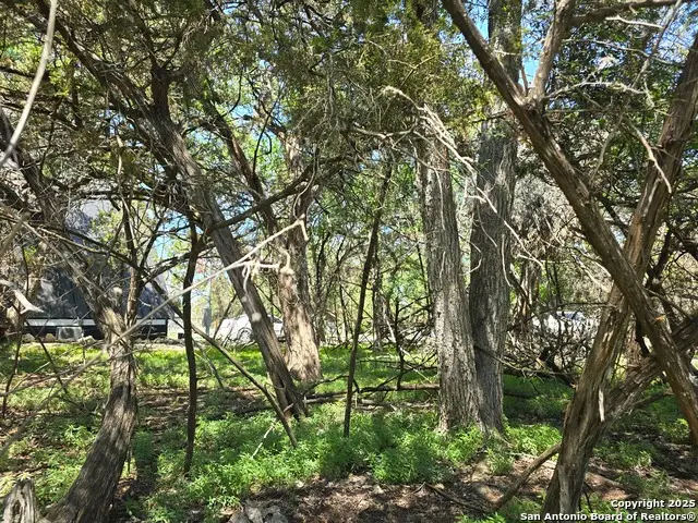 1548 Winding Creek Trail, Spring Branch, TX 78070 - #3