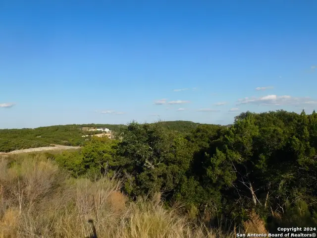 22202 Ravine, San Antonio, TX 78255 - Image #2