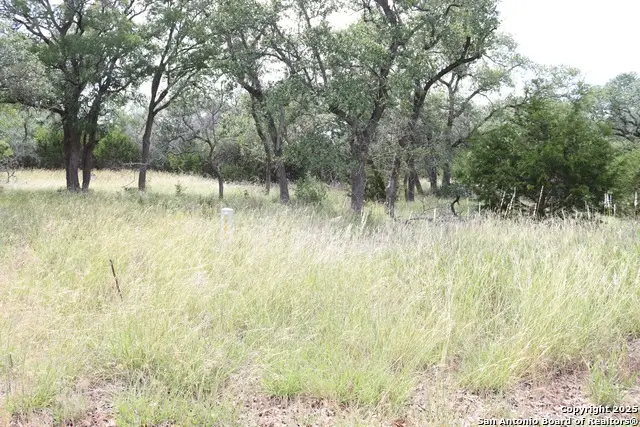 105 Sabella, Spring Branch, TX 78070 - #1