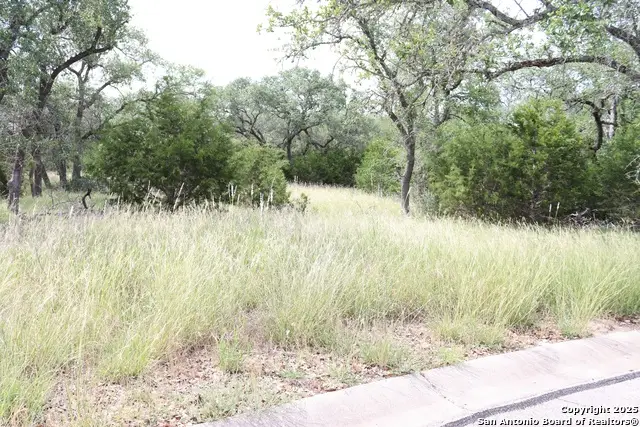 105 Sabella, Spring Branch, TX 78070 - #2