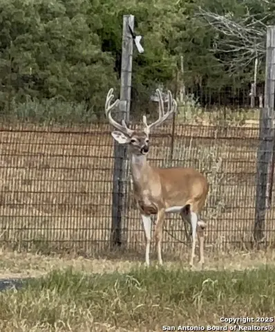 10745 Rosemar Ln, Adkins, TX 78101 - Image #1