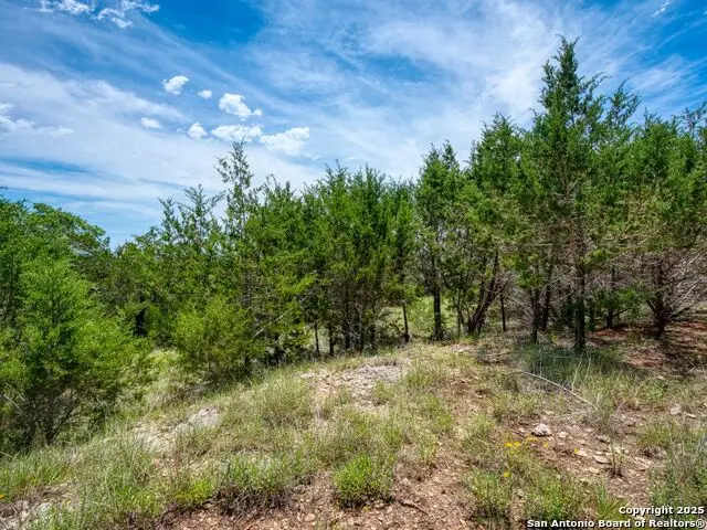 114 Oyster, Canyon Lake, TX 78133 - Image #3