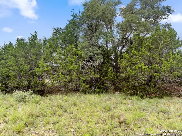 141 Vista View Place, Spring Branch, TX 78070