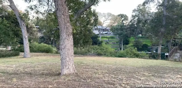 250 Rio Drive, New Braunfels, TX 78130 - Image #2