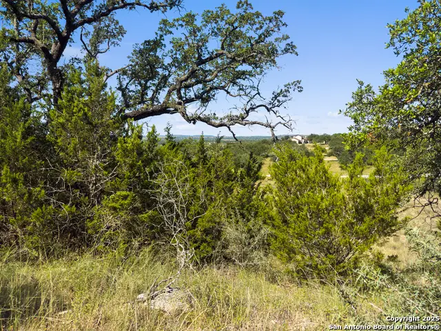 820 Stone Ridge Mountain Drive, Round Mountain, TX 78663 - #2