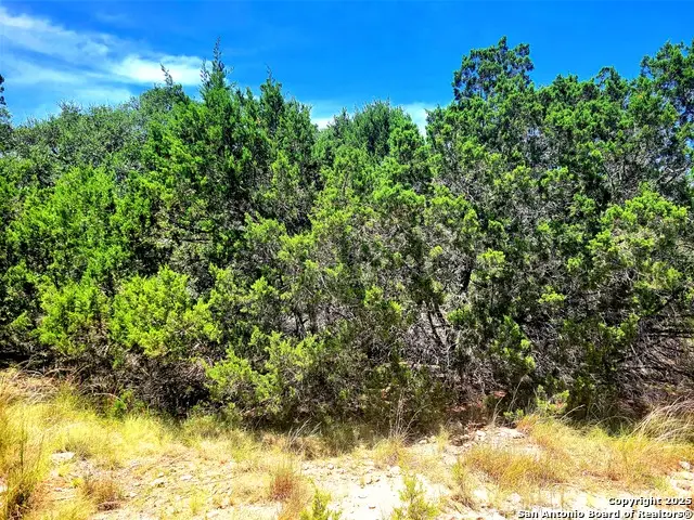 1680 Stallion Springs Dr, Fischer, TX 78623 - Image #3