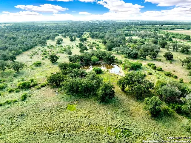 2802 County Road 434, Stockdale, TX 78160 - #3