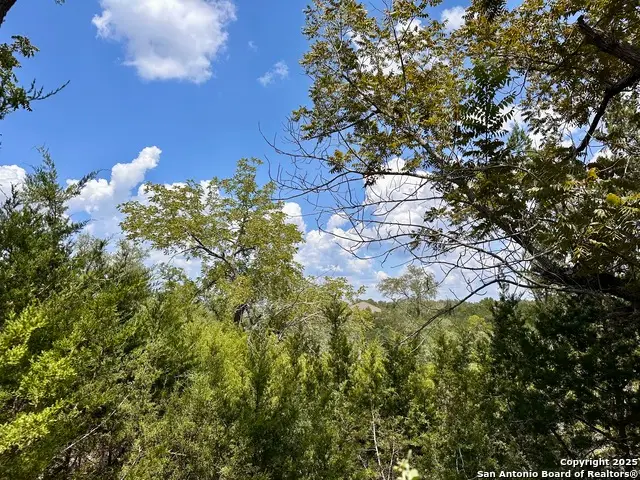 1452 Stahlman, New Braunfels, TX 78132 - Image #2