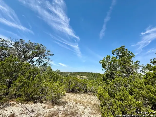 640 Crossman, Fischer, TX 78623 - #1