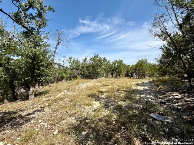 640 Crossman, Fischer, TX 78623 - #2