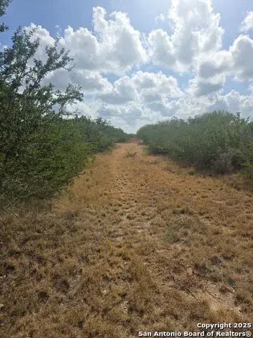 0 Cr 170, Alice, TX 78332 - #1