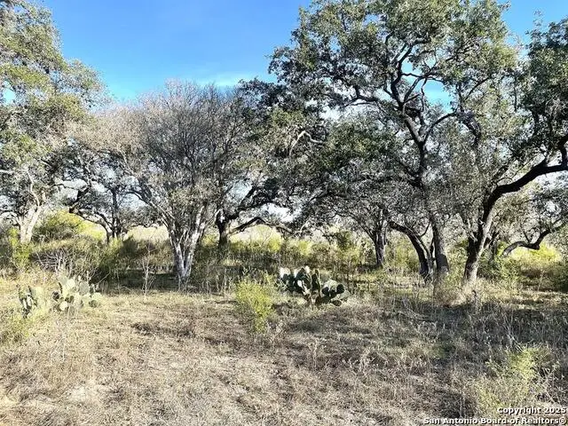 9654 Fm 2617, Pettus Pawnee, TX 78146 - #1