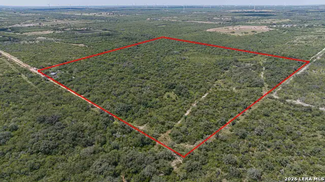 9654 Fm 2617, Pettus Pawnee, TX 78146 - #3