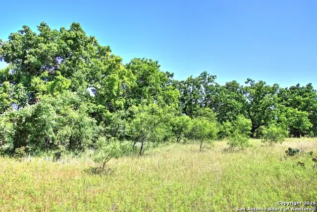 LOT 5 Rm 1323, Willow City, TX 78675 - #3