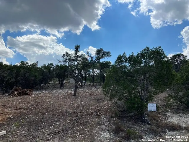 320 Lexington Pass, Canyon Lake, TX 78133 - #1