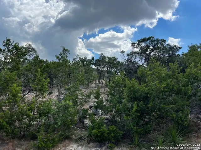 320 Lexington Pass, Canyon Lake, TX 78133 - #2