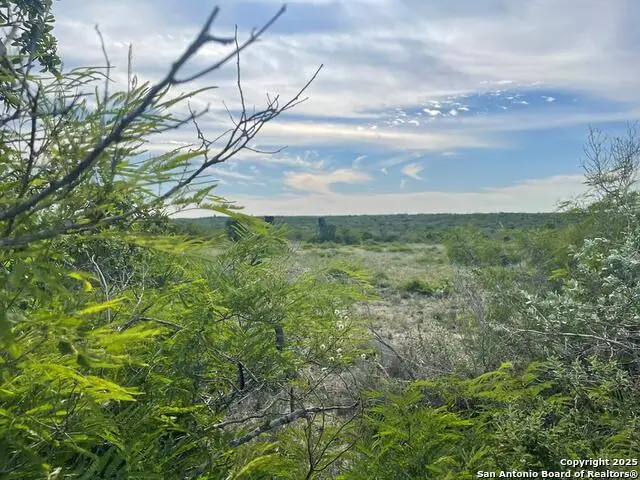 197 Live Oak Spur, George West, TX 78022 - #1