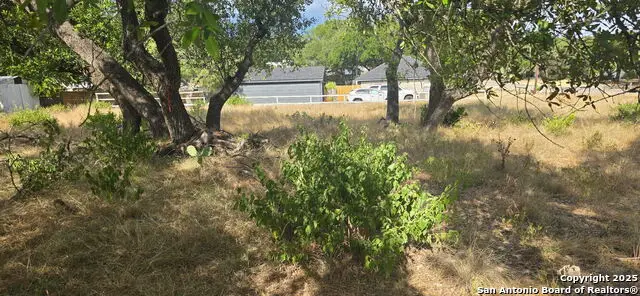 425 Lighthouse, Canyon Lake, TX 78133 - #2