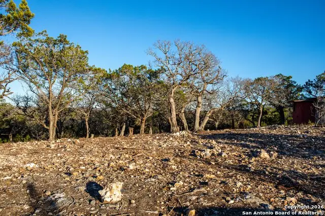 474 Zapata Ridge, Medina, TX 78055 - Image #3