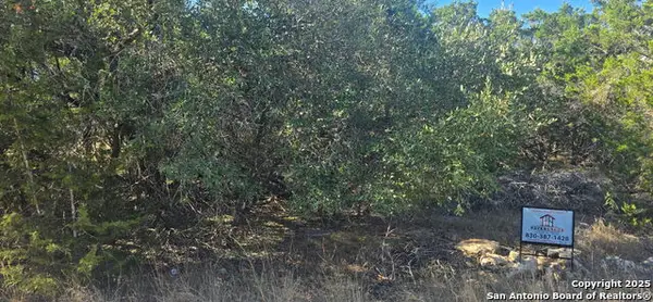 716 Line Camp Rd, Spring Branch, TX 78070