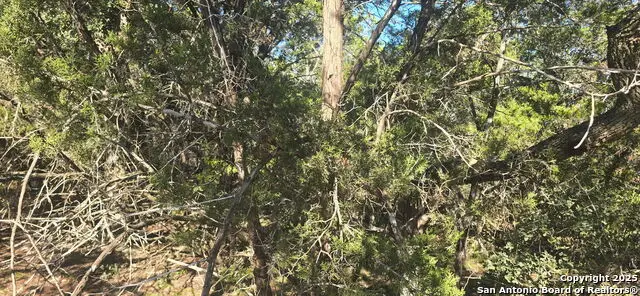 716 Line Camp Rd, Spring Branch, TX 78070 - Image #3