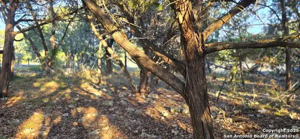 203 Palm, Spring Branch, TX 78070