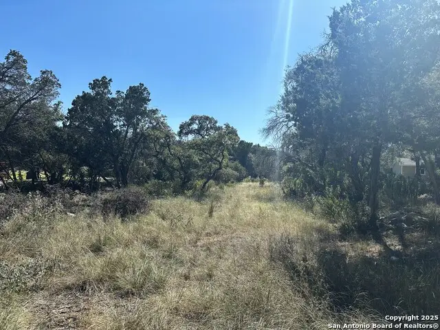 132 Lexington, Canyon Lake, TX 78133 - Image #1